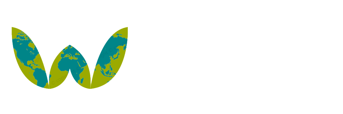 山东万青软件有限公司